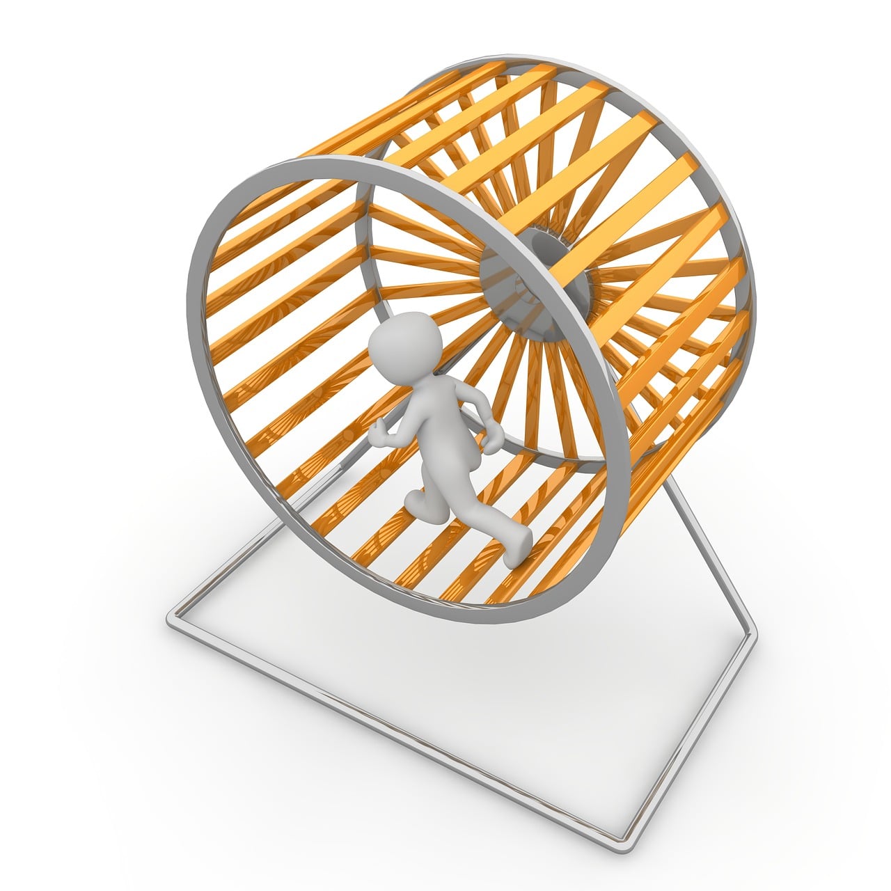 hamsterwheel