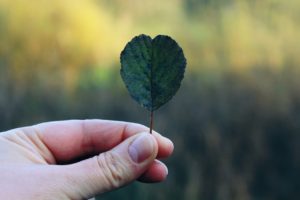 handleafheart