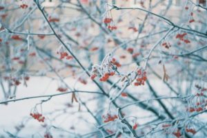 anxiety snow