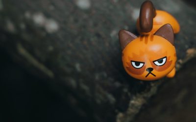 Therapy for Anger Management
