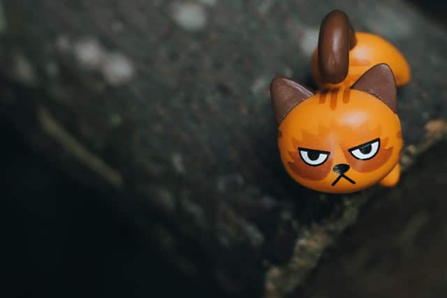 Therapy for Anger Management