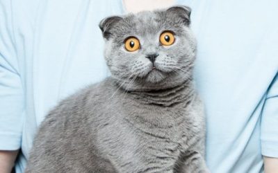How to Cope With Panic Attacks