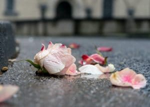 heart roses