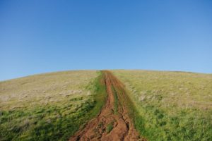 the right path