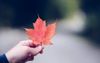 How to Heal Childhood Trauma