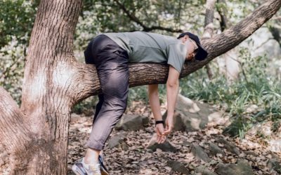 Why Do We Procrastinate and How Can We Manage It?
