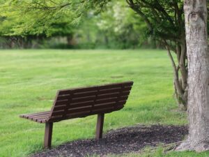 park bench
