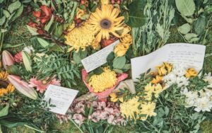 sunflowers