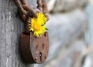 safe and secure