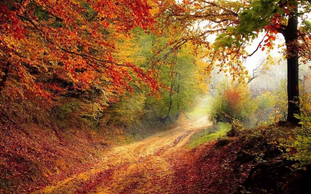 Borderline Personality Disorder- By Someone With The Disorder