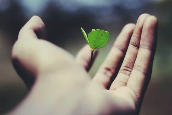 EMDR Therapy